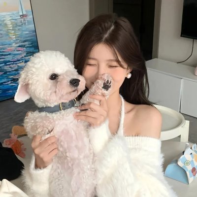 梅花档案